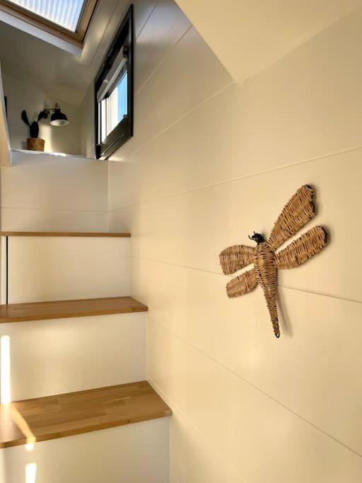 Tiny House With Sauna & Jacuzzi Near Amsterdam Vijfhuizen Eksteriør billede