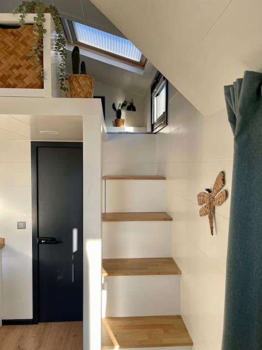 Tiny House With Sauna & Jacuzzi Near Amsterdam Vijfhuizen Eksteriør billede