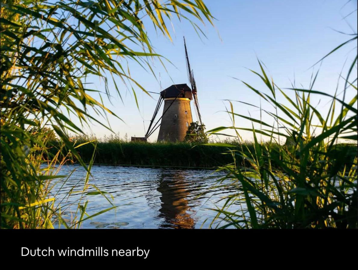 Tiny House With Sauna & Jacuzzi Near Amsterdam Vijfhuizen Eksteriør billede